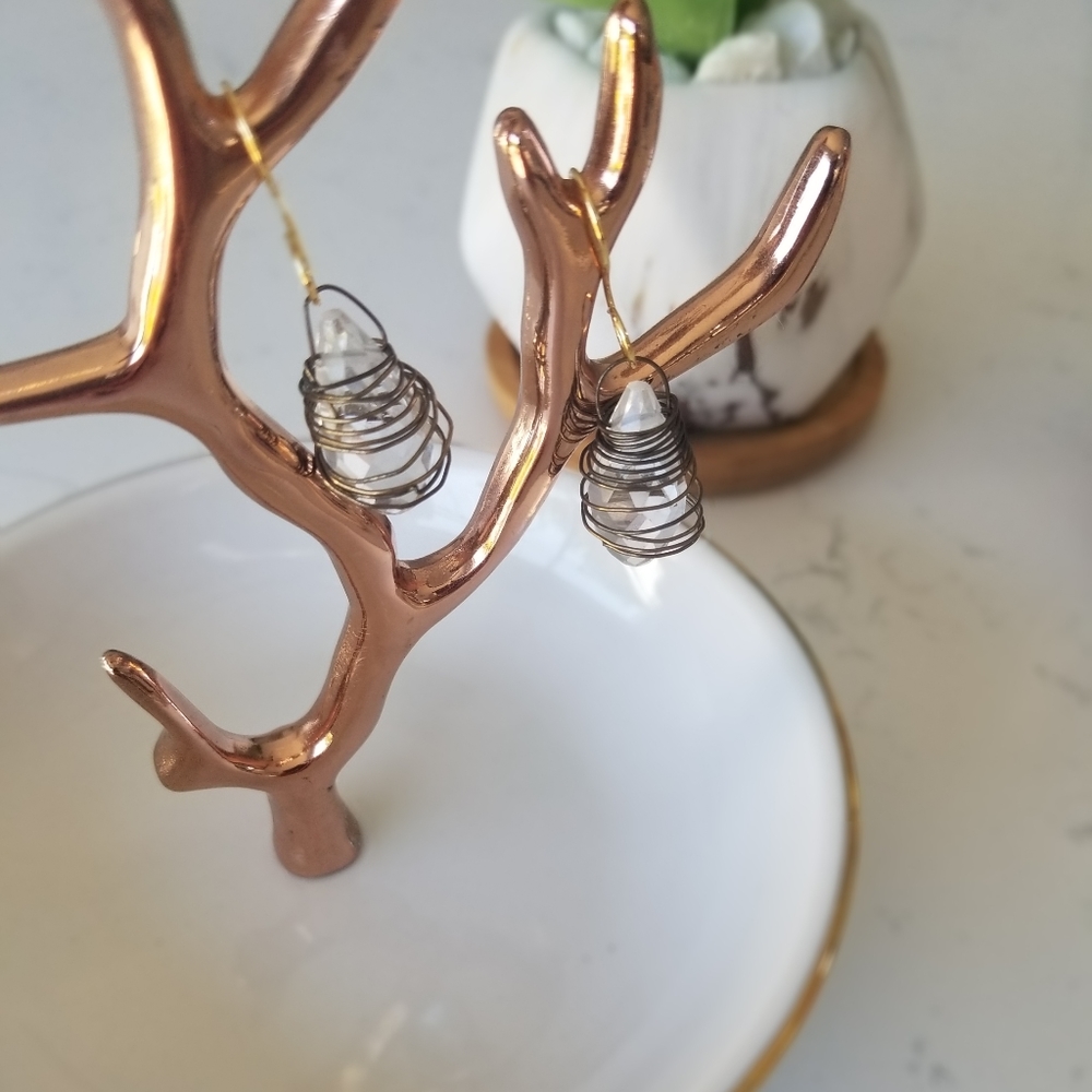 Earrings (Brand new)